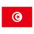突尼斯 突尼斯